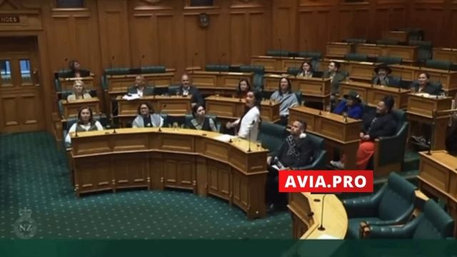 Депутаты парламента критикуют