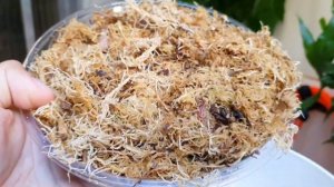 Replantando: ANTHURIUM CRYSTALLINUM