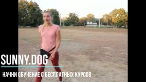 Убирать ли какашки за собакой?