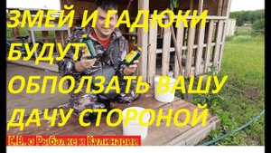 КАК ИЗБАВИТЬСЯ ОТ ЗМЕЙ НА УЧАСТКЕ САМЫЙ ЛУЧШИЙ И ЭФФЕКТИВНЫЙ СПОСОБ, РАБОТАЕТ ВСЕГДА И ВЕЗДЕ.