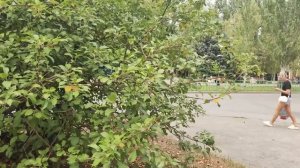 Стоит ли покупать POCO F5? ЧЕСТНЫЙ ОТЗЫВ спустя 3 МЕСЯЦА! Плюсы и минусы