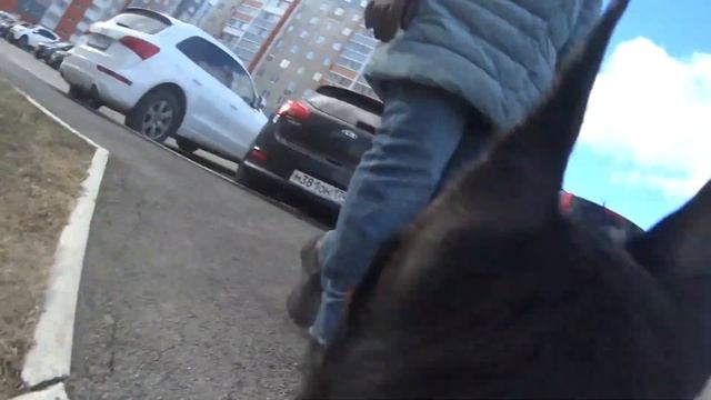 Бэтмен и камера Sony AS100V смотреть онлайн