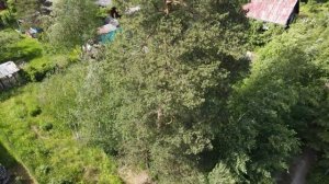 КУПИТЬ ДАЧУ в Ленинградской области НЕДОРОГО?