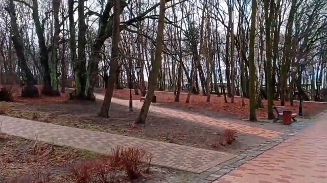 Обзор Янтарного  Побережье Балтийского моря Калининградская область