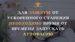 За минуту вы узнаете что такое аутофагия и как она влияет на продолжительность жизни