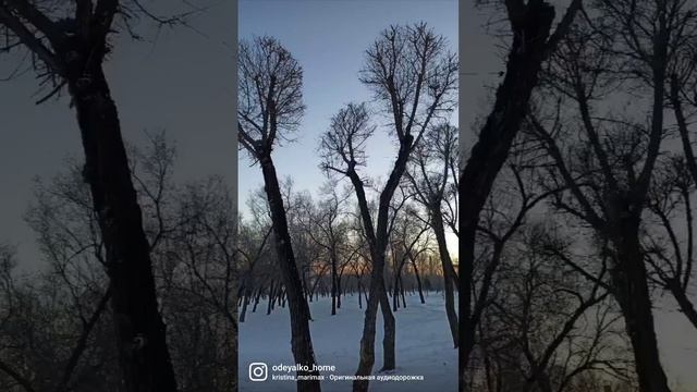 Настоящая новогодняя сказка в одном покрывале ❄❄❄Тёплое, легкое, уютное одеяло украсит дом ?