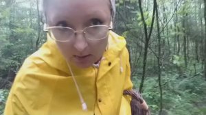 Видео привет из леса. Картошка с грибами 30 июня 2023 года.