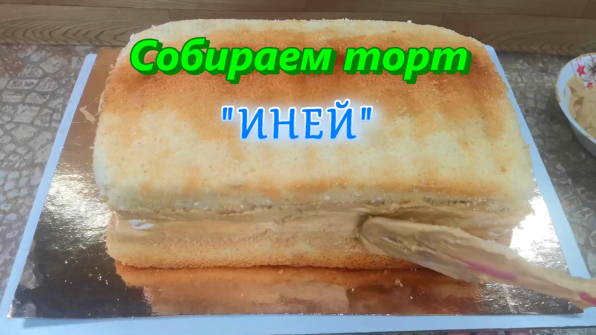 Сборка торта Глобус кремовый