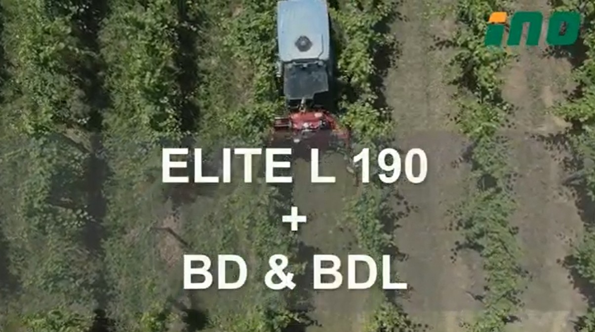 Мульчирователь ELITE L 190 + BD&BDL на виноградниках