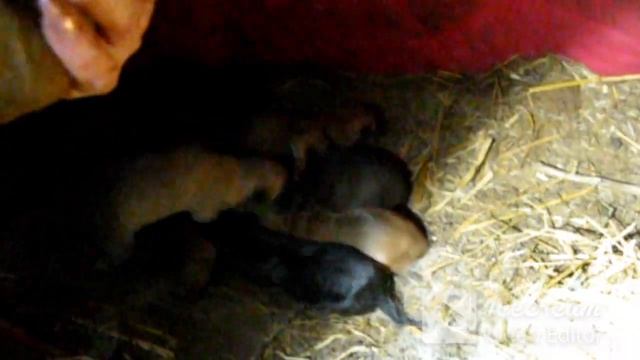 Славянск / РОЖДЕСТВЕНСКИЕ СЮРПРИЗЫ !!! / Славянск в эфире смотреть онлайн