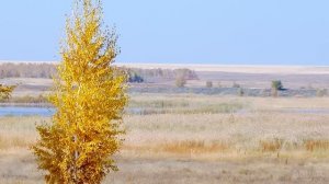 14.05.2021 СЛУЖЕНИЕ В ОРСКЕ. СВЕТЛЫЙ ВЕЧЕР НА РАДИО ВЕРА. В ГОСТЯХ ПРОТ.СЕРГИЙ БАРАНОВ.