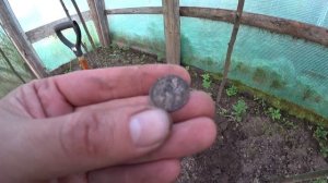 ШУРФ ФУНДАМЕНТА СТАРИННОГО ДОМА 18 ВЕК. КОП С МЕТАЛЛОИСКАТЕЛЕМ. СТАРИННЫЕ НАХОДКИ.