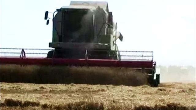 Премиксы и Кормовые Добавки. смотреть онлайн