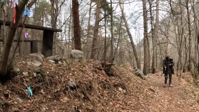 Открыли VANLIFE сезон! Проехали 9000 км с бультерьером!