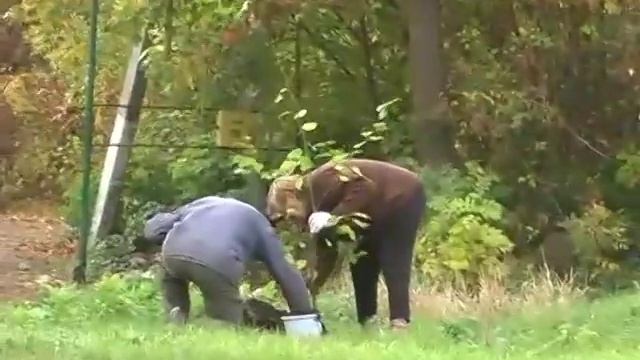 Основание парка в г. Зоринск смотреть онлайн