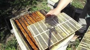 работа на пасеке в мае - постановка магазинов на гнездо пчел