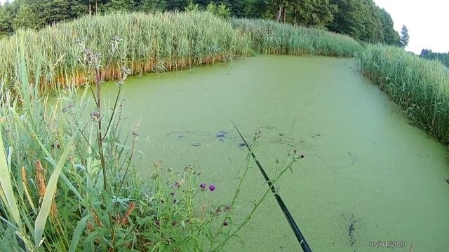 рыбалка на боковой кивок смотреть онлайн