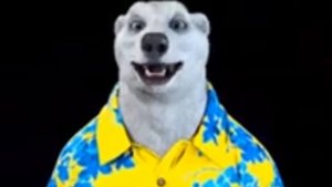 Обращение желтого медведя на 27 ноября + без мата и 4К 60FPS