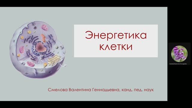 Энергетика клетки для чайников. Часть 1 Химио-осмос