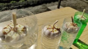 EXPERIMENT?Чтобы чеснок быстро росла, нужно замочить его в воде.The trick to quickly rooting garlic