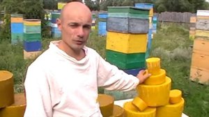 Воск из забруса.
