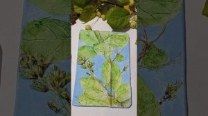 Ботанический барельеф. Сирень. Роспись.