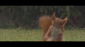 реклама воды Carlsberg Sport
