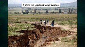 §21 "Геологическое строение и рельеф Африки", География 7 класс ч.1, Домогацких