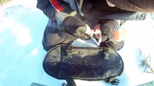 ЧЕРНОБЫЛЬНИК или БЫЛИННИК / Как добыть и как хранить? Бесплатная зимняя супер насадка.