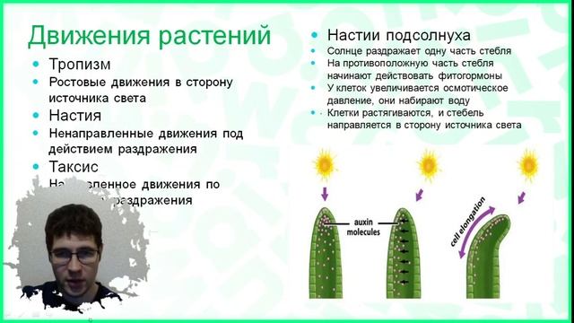 Тема №14 : Физиология растений смотреть онлайн