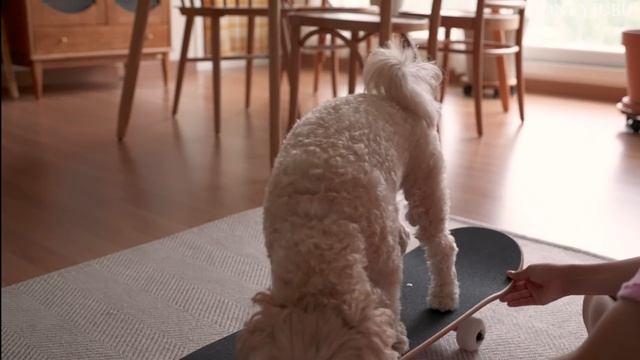 새벽 5시에 시작되는 부지런한 일상 / 남편 도시락, 건강한 아침 식사, 전복볶음밥 / 나무 식기 관리법 /모닝루틴 Vlog смотреть онлайн