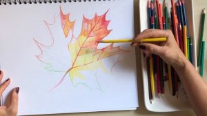 Рисуем кленовый лист цветными карандашами вместе с художницей Наталкой Барвинок #класс_по_рисованию