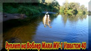 Дуплет на воблер Maria MV-1 Vibration 40. Ловля окуня на спиннинг.