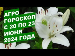 Агрогороскоп с 20 по 23 июня 2024 года Agrohoroscope from June 20 to June 23, 2024