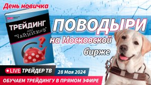 День новичка. Обучение трейдингу в прямом эфире. Поводыри на Московской бирже | Live Трейдер ТВ