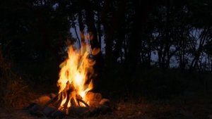Это было Найдено в Сибири. Вас Шокирует то что оказалось внутри. Костерные Истории. БелыйРыжаяЧерны