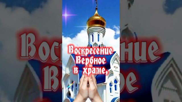 #вербноевоскресенье