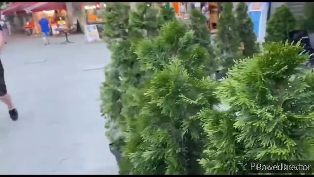 Где вкусно и недорого поесть в Тбилиси. Недорогие кафе в Тбилист