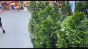 Где вкусно и недорого поесть в Тбилиси. Недорогие кафе в Тбилист