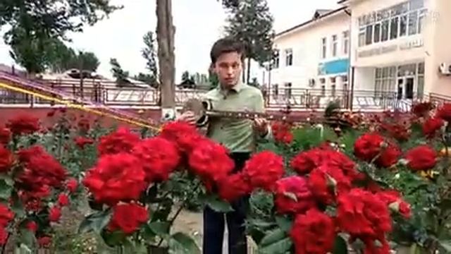 Sultonxo‘ja Yunusjonov O‘zbekiston gulzor смотреть онлайн