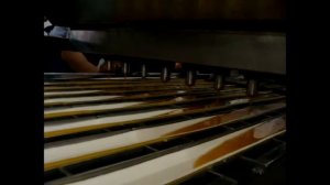 Линия производства мармелада Апельсиновых и лимонных долек