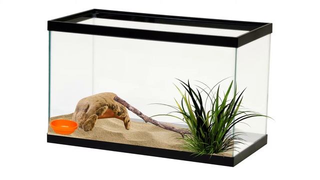 Как сделать террариум для ящерицы! смотреть онлайн