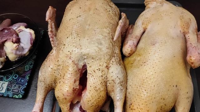 Индоутки/ Вес Селезней в 4 месяца смотреть онлайн