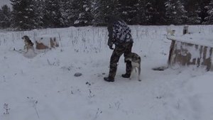 Отвечаю на ваши вопросы Ч.3