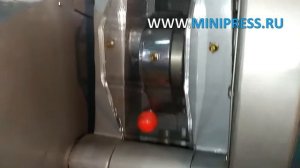 Фармацевтическая дробилка