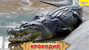 Играем в слова. Обучающее видео для детей. Животные.