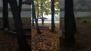 база отдыха Бриз район имени Лазо Хабаровского края