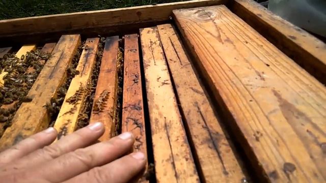 Моя пасіка практичні поради...комбінування рамок