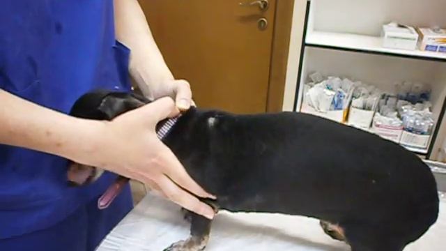 Соскоб смотреть онлайн