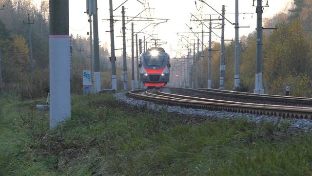 Электропоезд ЭП2Д-0081 ЦППК перегон Петелино - Голицыно смотреть онлайн